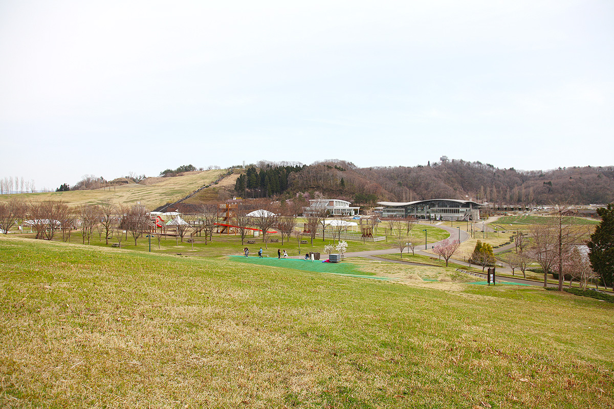 越後丘陵公園｜敷地風景