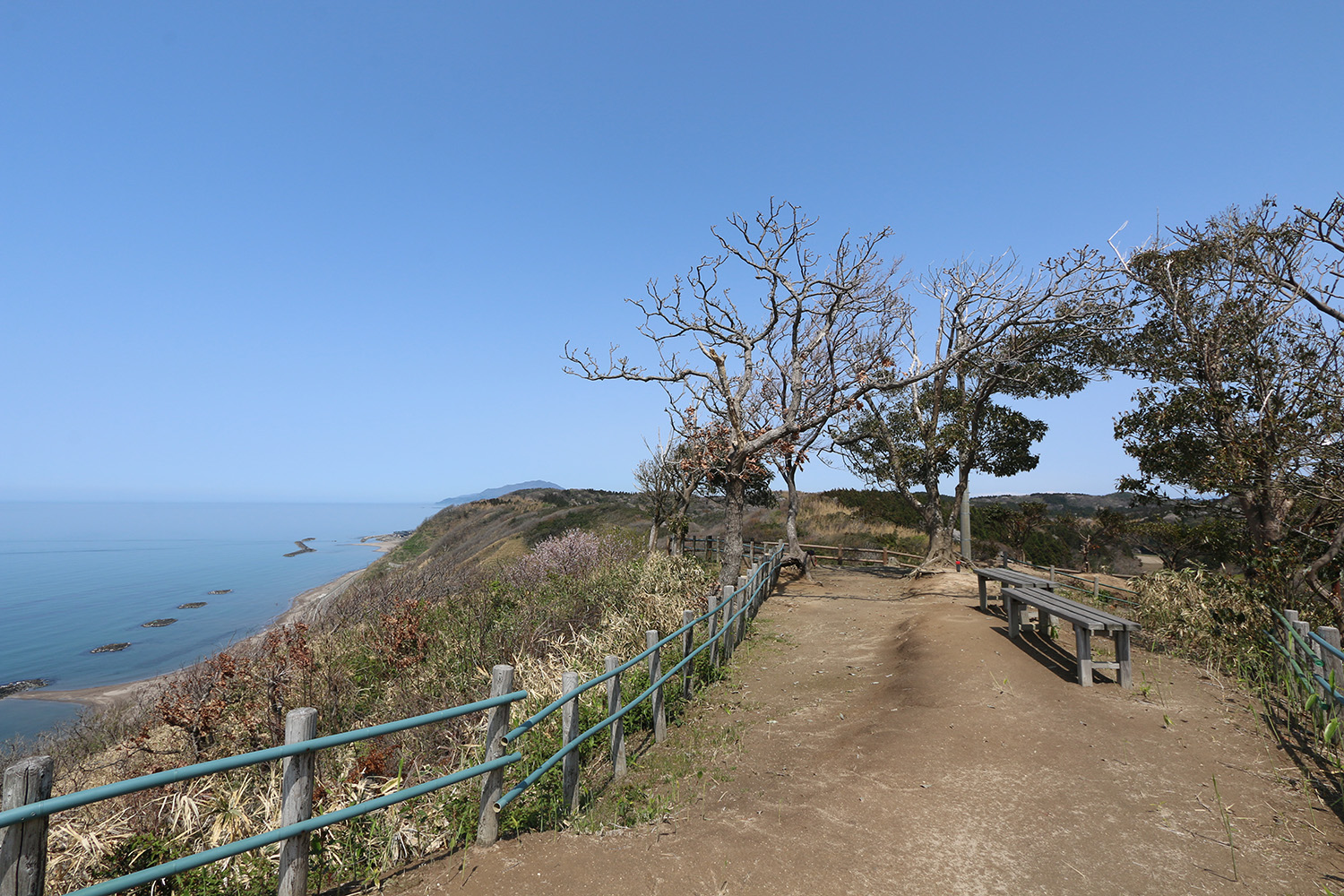 和島オートキャンプ場｜展望台