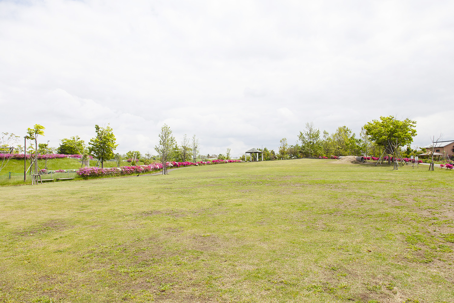 燕市交通公園｜緑の広場