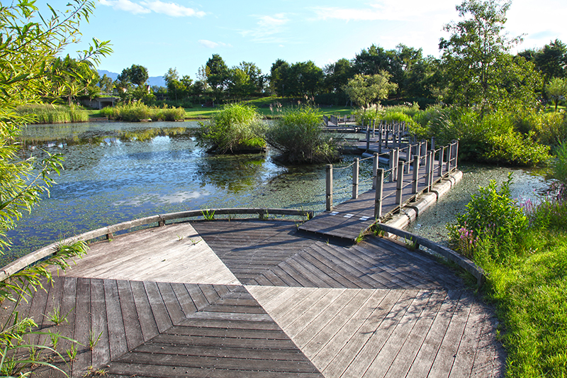 八色の森公園｜池