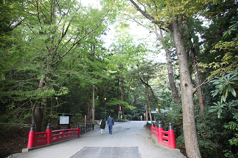 弥彦山ロープウェイ｜乗り場へ