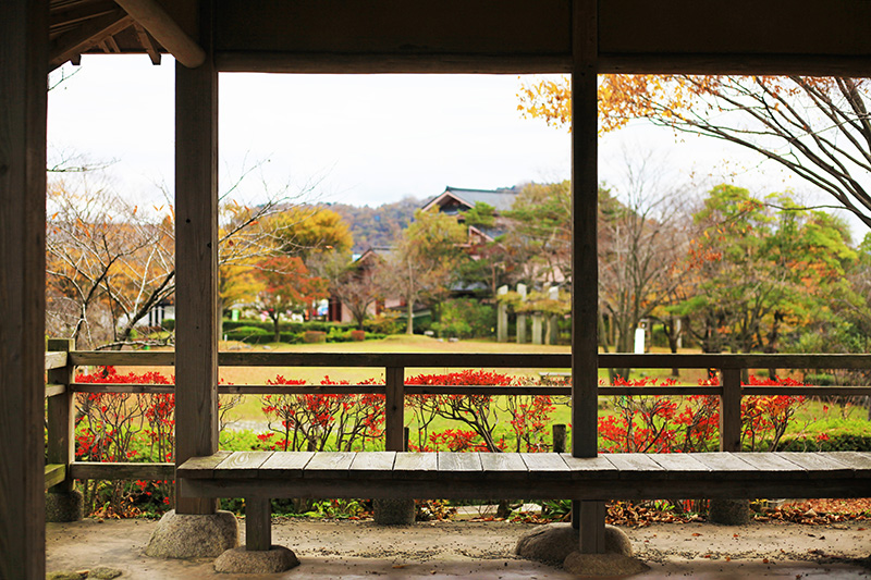 イヨボヤ会館｜鮭公園