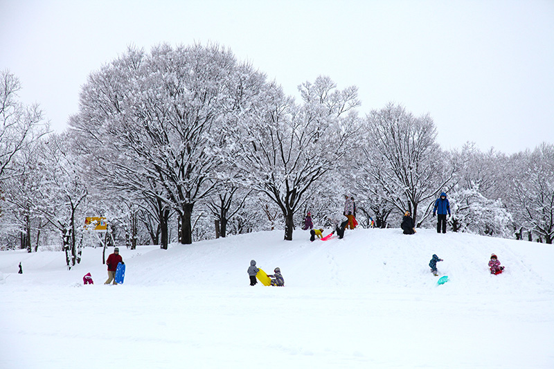 国営越後丘陵公園｜雪山