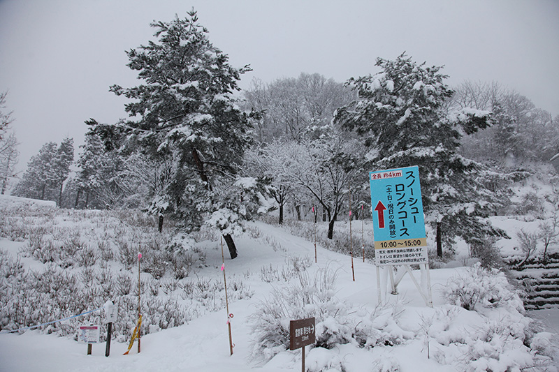 国営越後丘陵公園｜スノーシューコース