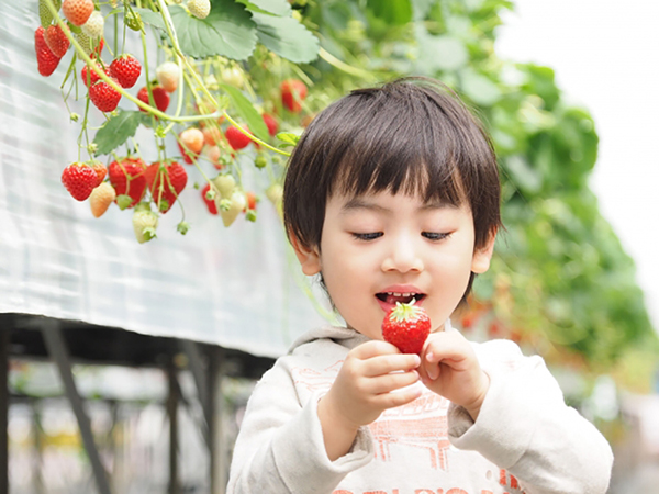 子どもと一緒に考えるキャリアデザイン（1）