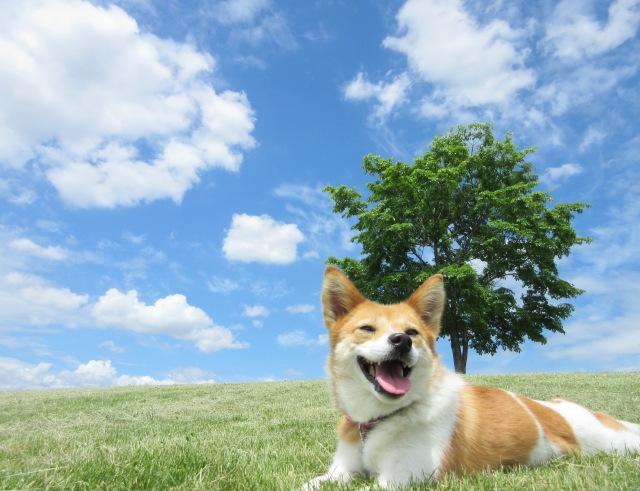 イキイキした様子