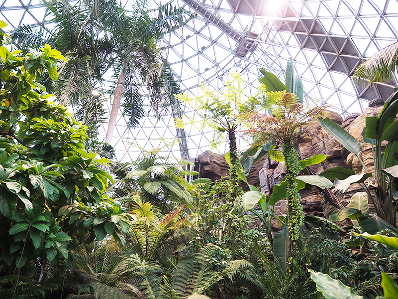 新潟市秋葉区 天気を気にせず 植物に触れ合える 新潟県立植物園 ララライフ Raralife 新潟ろうきんの女性応援サイト