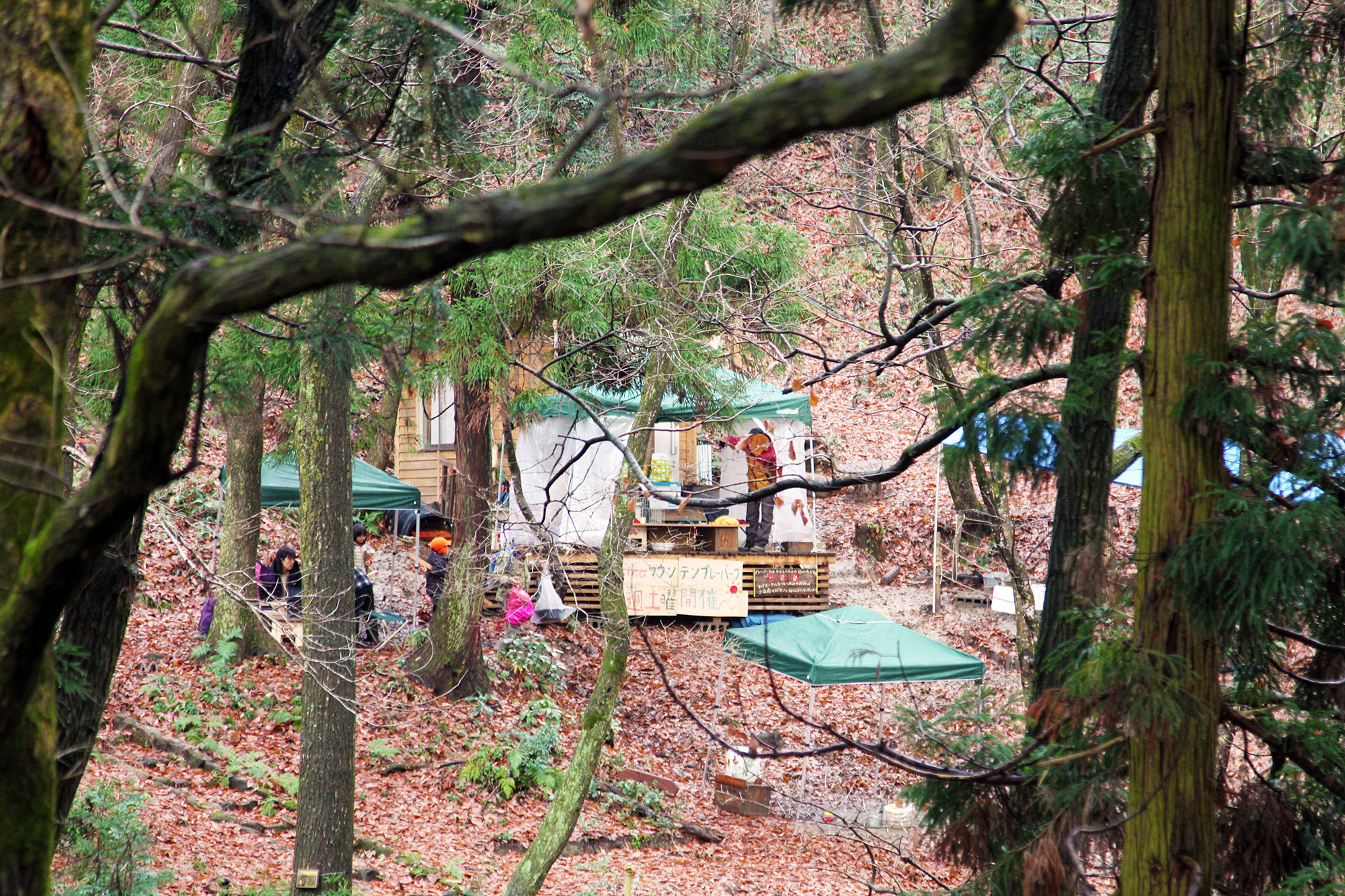 ララライフが勧めるアキハプレーパーク、木々に囲まれた遊び場写真